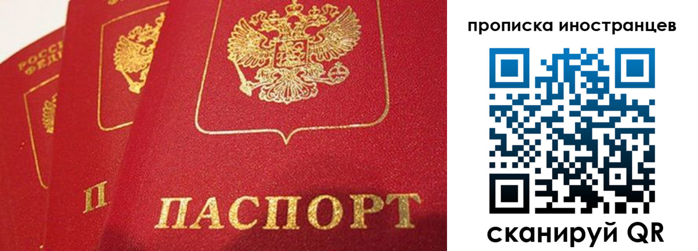 прописка поиск в Каргате